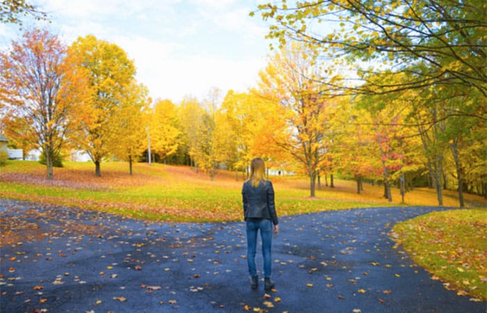 Colorful autumn park scene with a person walking along a winding path, showcasing vibrant fall foliage, perfect for SEO-focused imagery related to Sapient Insights Group and seasonal business solutions.